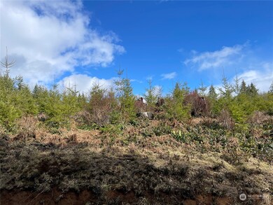 0 NA Hooper Rd, Longview, WA 98632 - photo 5