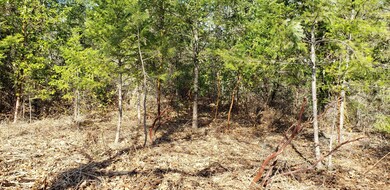 another view of the level area to right