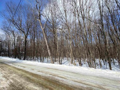 0 Musterfield Heights Rd unit M405 L24 4896352, Marlow, NH 03456 - photo 3