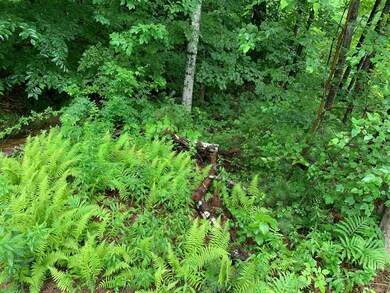 12 Snell Rd, Meredith, NH 03253 - photo 4