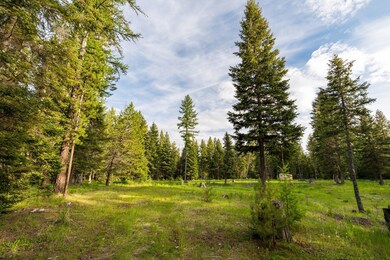 4867 Foothill Rd, Bigfork, MT 59911 - photo 5