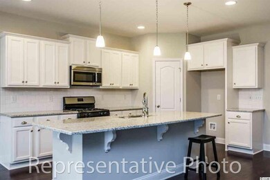 189 Astoria Park Loop unit Lot 23, Conway, SC 29526 - photo 5