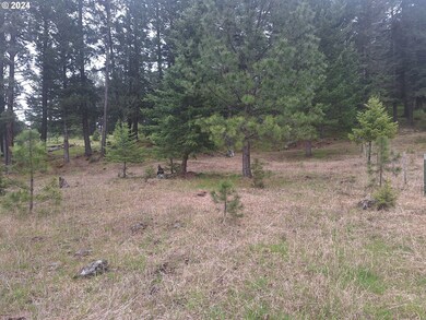 0 2s44 1600 Tl 902 unit 23676547, Enterprise, OR 97828 - photo 4