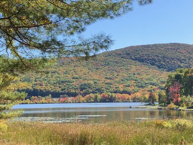 unlisted-address, Cheshire, MA 01225 - photo 3