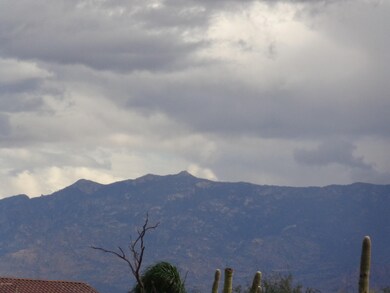 Catalina Mtns