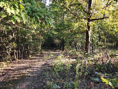 1071 Pleasant Run Rd, Mammoth Spring, AR 72554 - photo 2