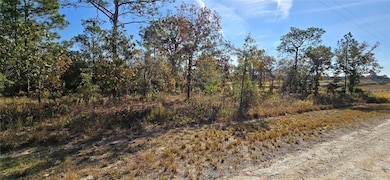 16392 Curlew Rd, Brooksville, FL 34614 - photo 5