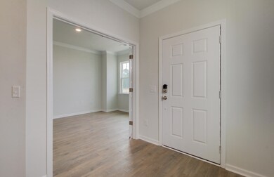 247 Camellia Bloom Dr, Moncks Corner, SC 29461 - photo 2