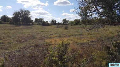 3258 Dairy Rd, Temple, TX 76501 - photo 4