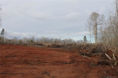 108.61 ac Tomlin Mill Rd, Statesville, NC 28625 - photo 4