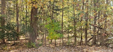 0 Weavers Chapel Rd, Littleton, NC 27850 - photo 4