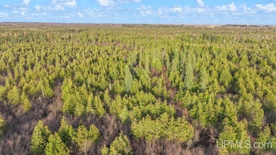 TBD 11th Rd, Escanaba, MI 49829 - photo 4