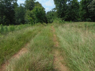 400 BLK County Road 134, Garrison, TX 75946 - photo 7