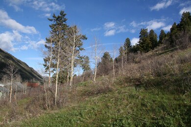 IMG_6731