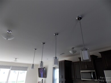 2539 Courtland Dr, Clover, SC 29710 - photo 7