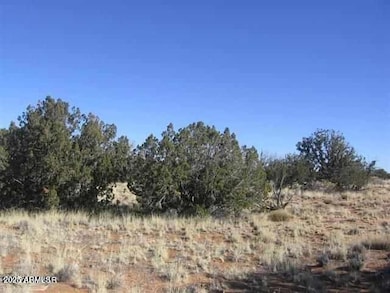 Sec 31 T15n R16e:nw4 Se4 -- unit 28, Heber, AZ 85928 - photo 4