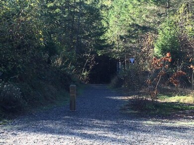 Lot 30 Foxhole Rd, Point Roberts, WA 98281 - photo 4