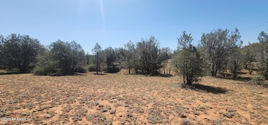 408 N2 Caprica Rd, Ash Fork, AZ 86320 - photo 3