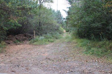 0 Reo Rd unit 124704, Rocky Face, GA 30740 - photo 3