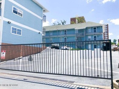 Back Gate