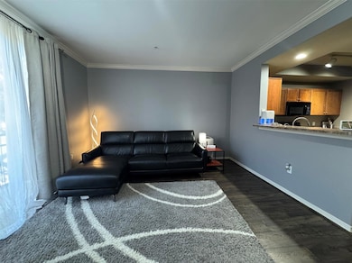 Living room featuring dark wood-type flooring and 