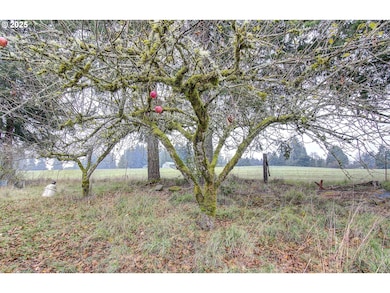 19409 NE Mattson Rd, Brush Prairie, WA 98606 - photo 5