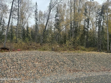 L4 S Lupine Cir, Talkeetna, AK 99676 - photo 7
