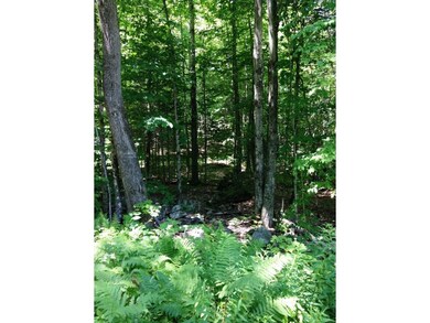 0 Miller Rd, Dalton, NH 03598 - photo 3