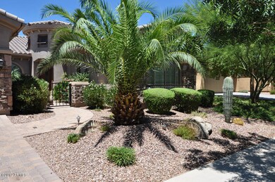 Frontyard landscaping