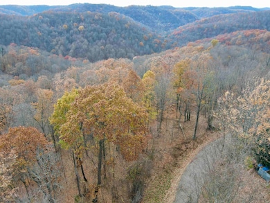 1945 Wilson Ridge Rd, Duck, WV 25063 - photo 7