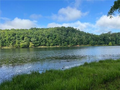 Water view featuring a heavily wooded area