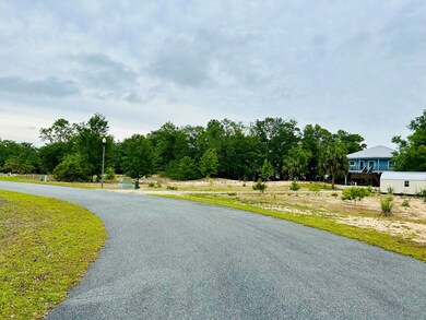 184 River Chase Rd, Apalachicola, FL 32320 - photo 7