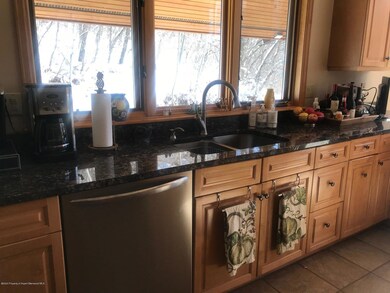 368 E Lupine Dr, Aspen, CO 81611 - photo 7