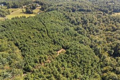 0 Mertie Rd unit 1194704, Wilbar, NC 28651 - photo 5