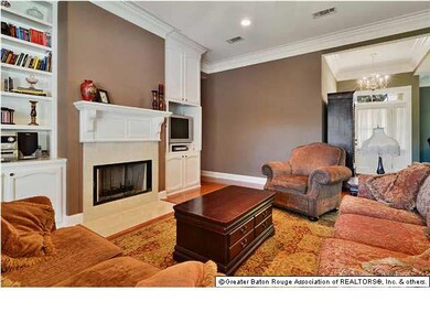 Gas Fireplace and Built-ins