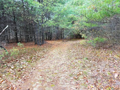 Lot 4 Emery Rd, Parsonsfield, ME 04047 - photo 4