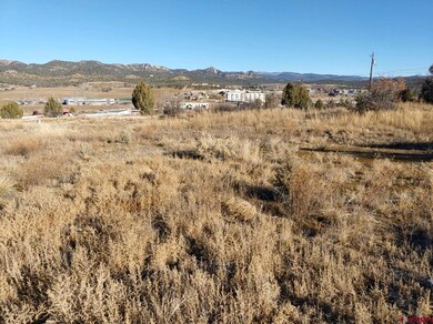 111 Cr 232, Durango, CO 81303 - photo 4