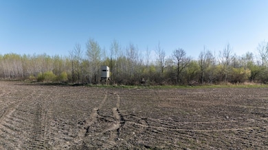 000 Crooked Lake Rd, Danforth Township, MN 55072 - photo 4