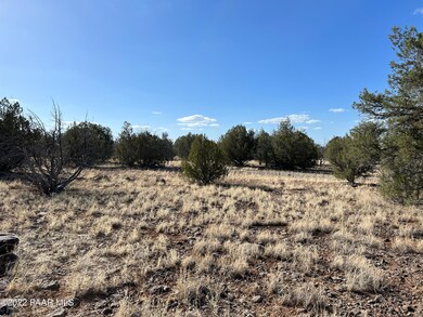 2d Stockmans Rd, Ash Fork, AZ 86320 - photo 5