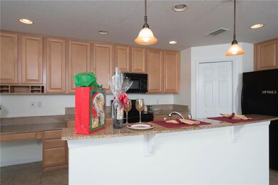 21634 Belgian Ct, Mount Dora, FL 32757 - photo 6