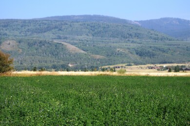 Copy of DSC01376