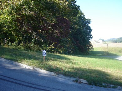 Lot 8 Redbird Ln, Rutledge, TN 37861 - photo 2