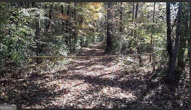 1047 Ponder Trammell Rd, Juliette, GA 31046 - photo 2