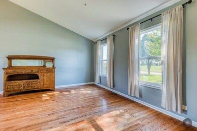 24312 Pear Tree Way, Plainfield, IL 60585 - photo 4