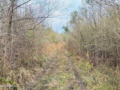 0 Roger Reid Rd, Conehatta, MS 39057 - photo 4