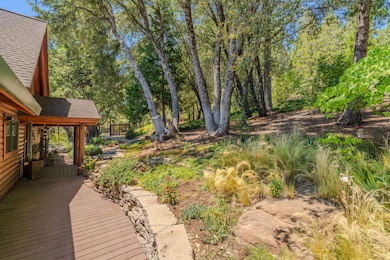 25804 Aspen Ct, Volcano, CA 95689 - photo 5