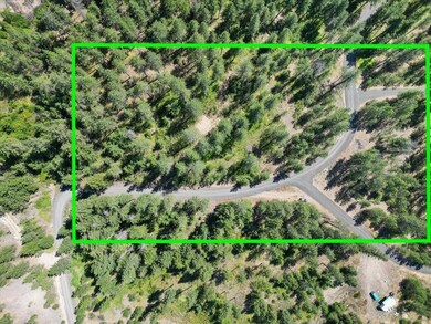 NKA Weaver Way unit Lot 3 of Lot 1, Deer Park, WA 99006 - photo 3