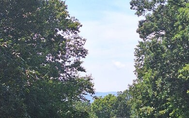 1.22A New Hope Rd, Ellijay, GA 30540 - photo 6