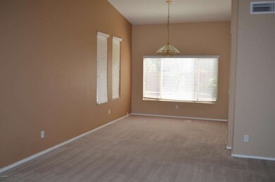 Neutral Carpet