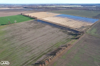 001 Il Route 3, Olive Branch, IL 62969 - photo 3